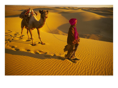 Camel Driver, Thar Desert, Rajasthan, India by Peter Adams Pricing Limited Edition Print image
