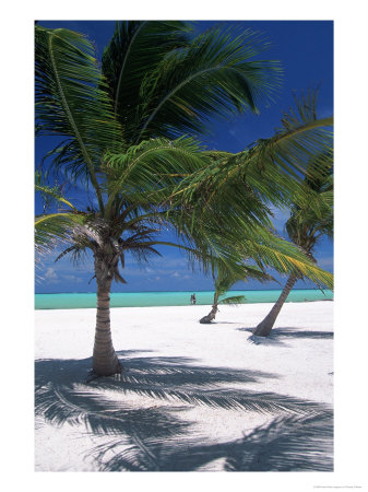Playa Juanillo, Dominican Republic by Timothy O'keefe Pricing Limited Edition Print image