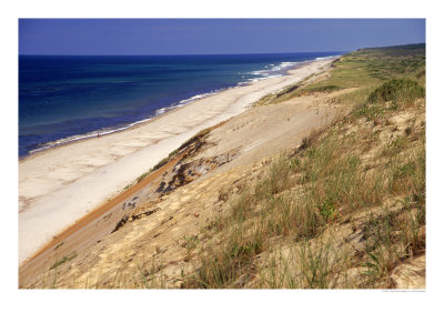 Beach, Cape Cod, Ma by Jeff Greenberg Pricing Limited Edition Print image
