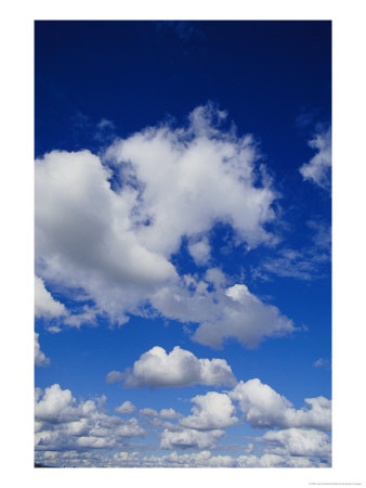 White, Fluffy Clouds Near Carnarvon National Park In Queensland by Jason Edwards Pricing Limited Edition Print image