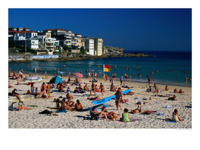 Sunbathers At North Bondi On A Summer Afternoon, Sydney, New South Wales, Australia by Ross Barnett Pricing Limited Edition Print image