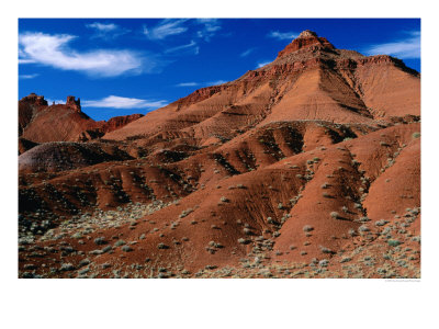 Castle Valley, Grand County Moab, Utah, Usa by Ross Barnett Pricing Limited Edition Print image