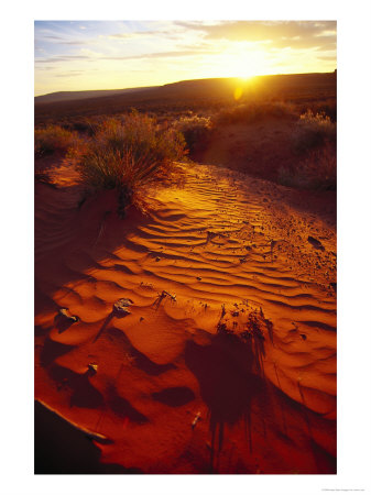 Scenic Sunrise by John Luke Pricing Limited Edition Print image