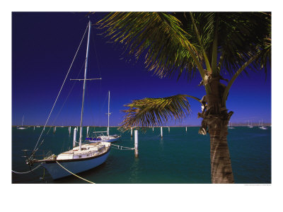 Marina De La Paz, Baja California, Mexico by Walter Bibikow Pricing Limited Edition Print image