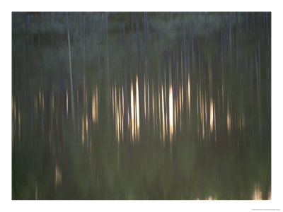 Reflection In Water Forms An Abstract Design by Mattias Klum Pricing Limited Edition Print image