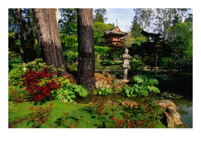 Japanese Tea Garden In Golden Gate Park, San Francisco, Usa by John Elk Iii Pricing Limited Edition Print image