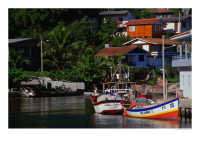 Colourful Fishing Boats Docked In The Harbour, Florianopolis, Brazil by John Maier Jr. Pricing Limited Edition Print image