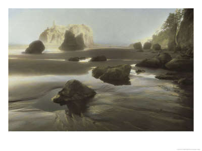 Rocks And Rock Formations Are Exposed At Low Tide On The Olympic Peninsula by Annie Griffiths Belt Pricing Limited Edition Print image