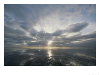 Sun Reflection Over Water, Wattenmeer National Park by Norbert Rosing Pricing Limited Edition Print image