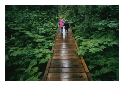Two Children Walk Along A Wooden Walkway In The Rain by Karen Kasmauski Pricing Limited Edition Print image