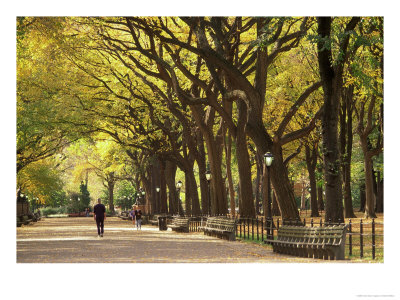 People Walking Through Central Park In Autumn, Nyc by Walter Bibikow Pricing Limited Edition Print image