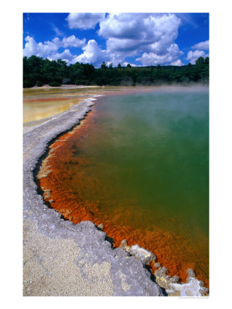 Boiling Thermal Waters Of Champagne Pool, Waiotapu, Bay Of Plenty, New Zealand by Gareth Mccormack Pricing Limited Edition Print image