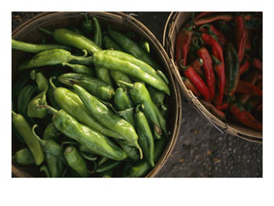 Green Chile Roasting Stands Along Federal Boulevard, Denver, Colorado by Michael S. Lewis Pricing Limited Edition Print image