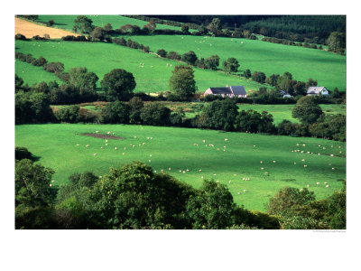 The Fields And Farmhouses Of County Cork, Ireland by Doug Mckinlay Pricing Limited Edition Print image