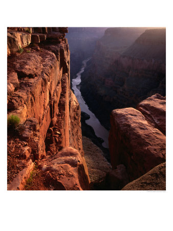 The Colorado River At Sunrise From The Toroweep Lookout, Grand Canyon National Park, Arizona, Usa by Wes Walker Pricing Limited Edition Print image