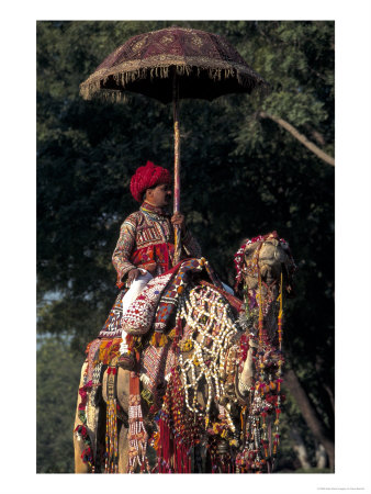 Man On Decorated Camel, Jaipur, India by Dave Bartruff Pricing Limited Edition Print image