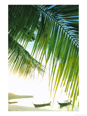 Beach Scene, Koh Phi Phi, Thailand by Jacob Halaska Pricing Limited Edition Print image