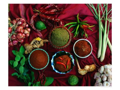 Four Curries Surrounded By Ingredients, Thailand by Jerry Alexander Pricing Limited Edition Print image