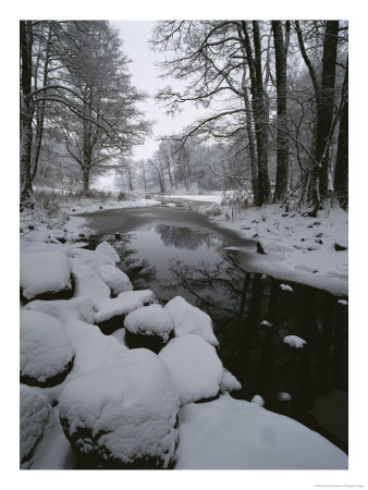 Winter Scene Of Creek With Snow-Covered Banks by Mattias Klum Pricing Limited Edition Print image