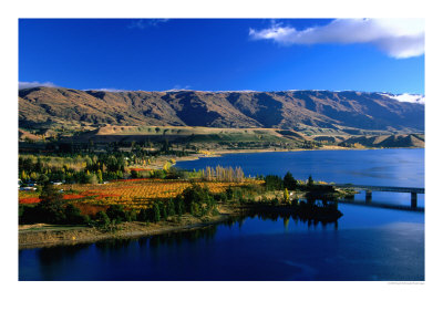 Lake Dunstan With The Pisa Mountain Range In The Background, Cromwell, Otago, New Zealand by David Wall Pricing Limited Edition Print image