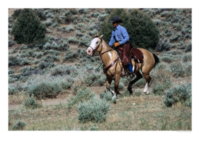 Cowboy Riding Horse In The Back Country At Reno, Reno, Nevada, Usa by Lee Foster Pricing Limited Edition Print image