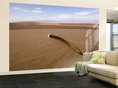 Gemsbok / Oryx Horn On Dune, Kaokoveld, Namib Desert by Adrian Bailey Pricing Limited Edition Print image