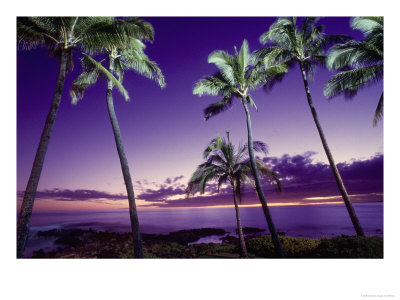 Sunset, Poipu Beach, Kauai, Hi by Elfi Kluck Pricing Limited Edition Print image