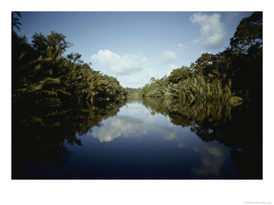 View Of A Rain Forest River by Mattias Klum Pricing Limited Edition Print image