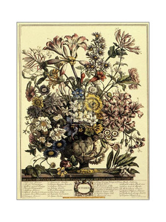 October by Robert Furber Pricing Limited Edition Print image