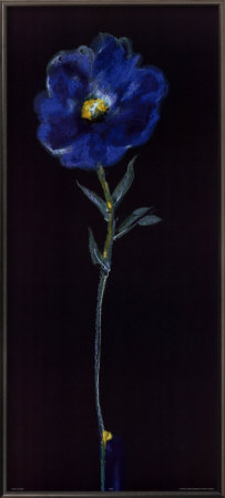 Midnight Blue Rose Panel by Alfred Gockel Pricing Limited Edition Print image
