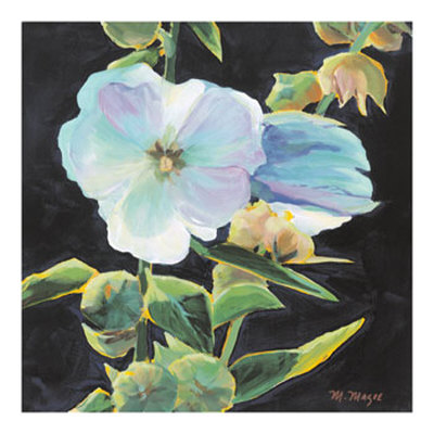 White Flower by Margaret Magee Pricing Limited Edition Print image