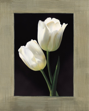 Tulipani Bianchi by Andrea Trivelli Pricing Limited Edition Print image