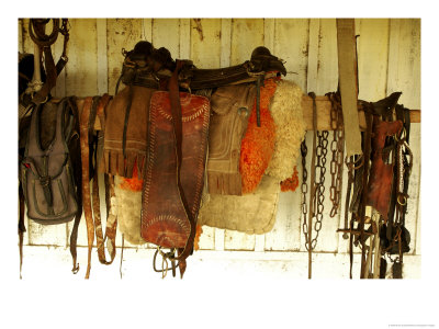 Riding Tack At The Fazenda Barranco Alto by Nicole Duplaix Pricing Limited Edition Print image