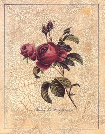 Rose Perfume by Jennifer Goldberger Pricing Limited Edition Print image