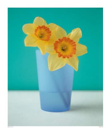Daffodils by Masao Ota Pricing Limited Edition Print image