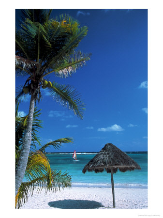 Tropical Beach by Jeff Greenberg Pricing Limited Edition Print image