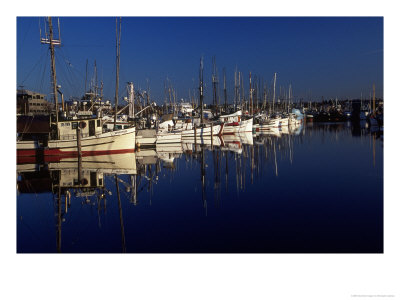 Fishing Boats In Port, Ballard, Wa by Christopher Jacobson Pricing Limited Edition Print image