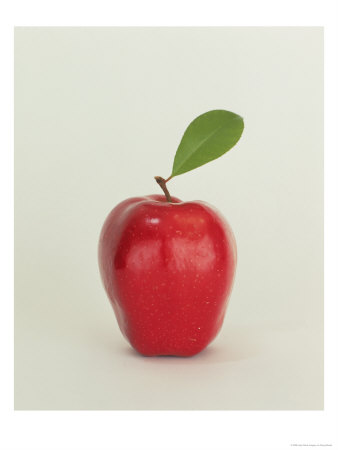 Apple With Leaf by Doug Mazell Pricing Limited Edition Print image