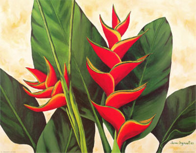 Tropical Beauty Ii by Jane Segrest Pricing Limited Edition Print image