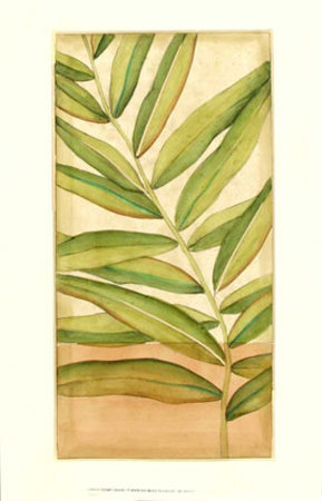 Ginger Leaves I by Jennifer Goldberger Pricing Limited Edition Print image