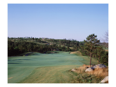 Pine Hills Golf Club by Stephen Szurlej Pricing Limited Edition Print image