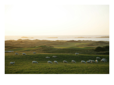 Royal Portrush Golf Club by Stephen Szurlej Pricing Limited Edition Print image