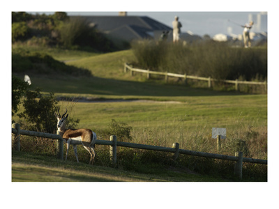 Atlantic Beach Golf Club by J.D. Cuban Pricing Limited Edition Print image