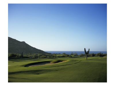 Cabo Real Golf Course by Stephen Szurlej Pricing Limited Edition Print image