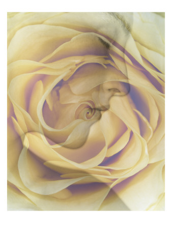 Conde Nast, Trunk Archive by Andrew Bettles Pricing Limited Edition Print image