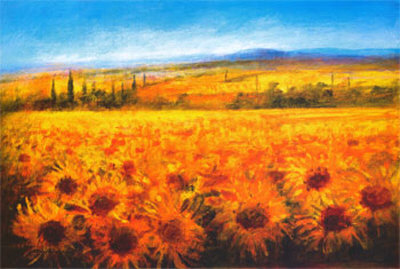 Golden Sunflowers by Ken Hildrew Pricing Limited Edition Print image