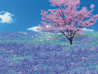 Meadow by Gay Bumgarner Pricing Limited Edition Print image