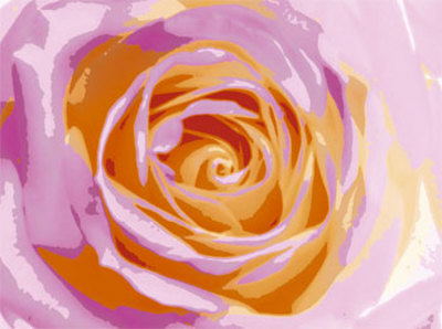 Rose Variation I by Tasmin Phoenix Pricing Limited Edition Print image