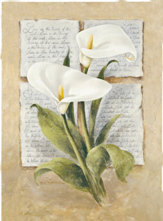 Calla Lilly Poetry by Laura Martinelli Pricing Limited Edition Print image