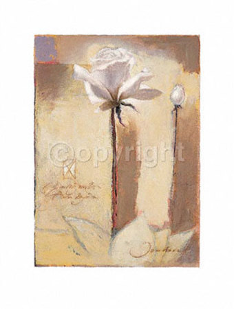 Adorable Ii by Joadoor Pricing Limited Edition Print image